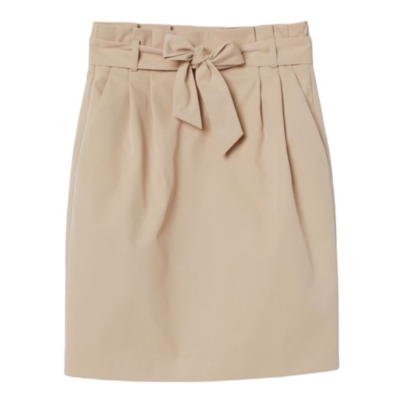 Coord Set: H&M High Waisted Skirt & Banana Republic Tank (Wardrobe Essential) - Picture 1 of 15